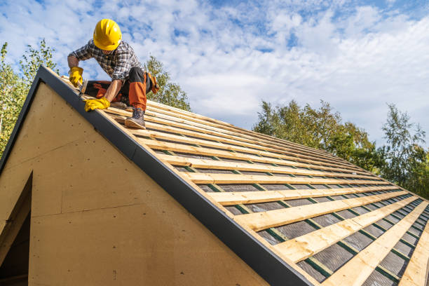 Best Metal Roofing Contractor  in Spring Hill, KS